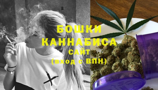 спиды Аркадак
