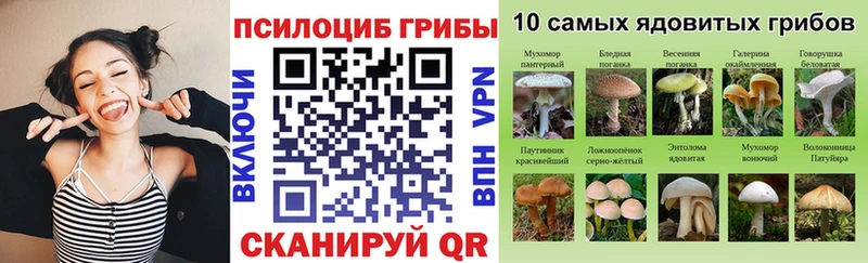 Псилоцибиновые грибы мицелий  Купить  Верхоянск 